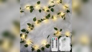 Best Battery Fairy Lights for Living Room Cozy Lighting