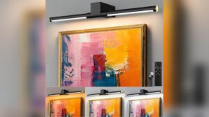 Best Battery Operated Picture Lights for Dartboard Or Posters