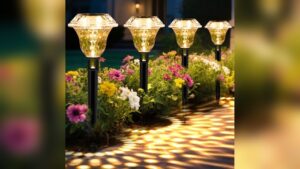 Best Decorative Solar Pathway Lights for Aesthetic Garden