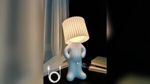 Best Novelty Lamps for Gifts And Surprises