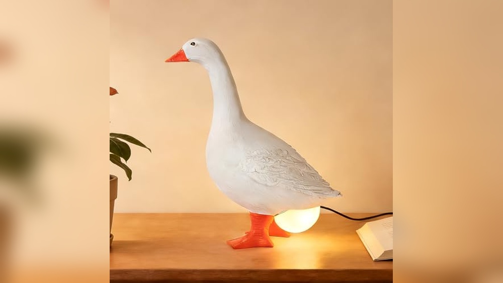 Best Novelty Lamps for Gifts And Surprises