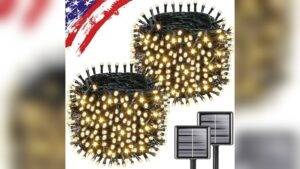 Best Outdoor Twinkle Lights for Garden