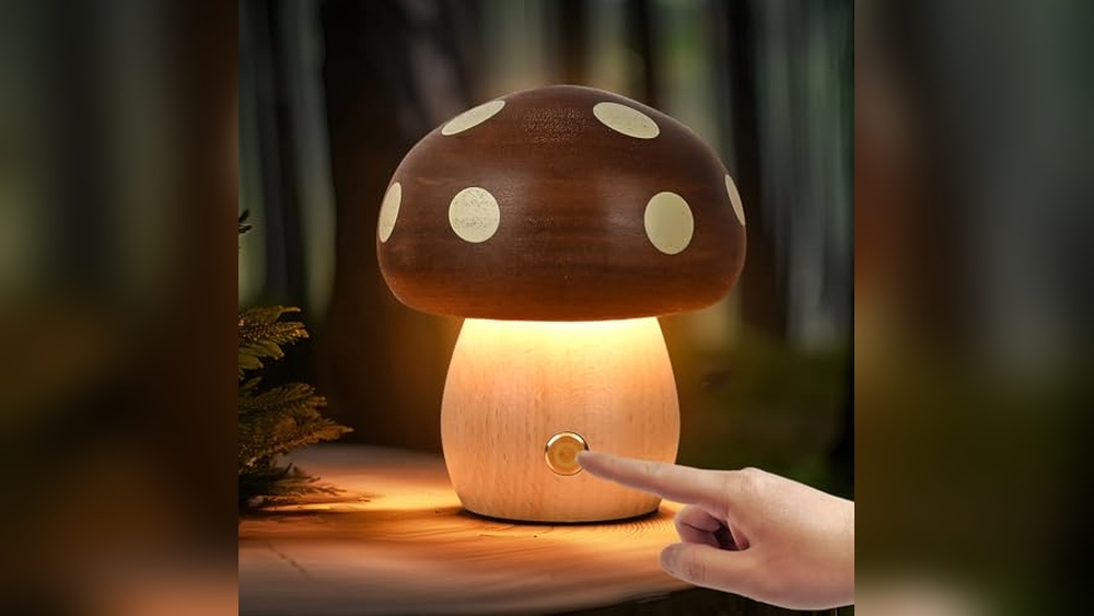 Best Rechargeable Mushroom Lamps for Portable Decor