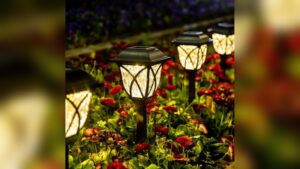 Best Solar Garden Stake Lights Outdoor for Flower Beds