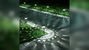 Best Solar Pathway Lights for Flower Beds Up-Lighting