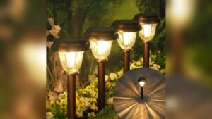 Best Stainless Steel Solar Pathway Lights for Durable Outdoor