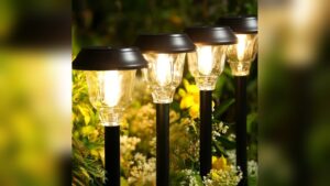 Best Weather Resistant Solar Garden Lights for Year Round Use